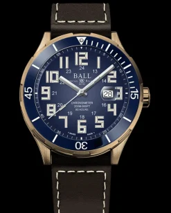 Ball Watch Roadmaster<Roadmaster StarLight Bronze (43mm Cal. RRM7309-C)